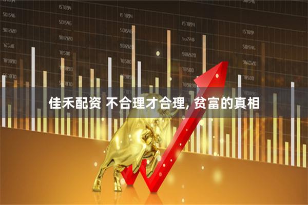 佳禾配资 不合理才合理, 贫富的真相