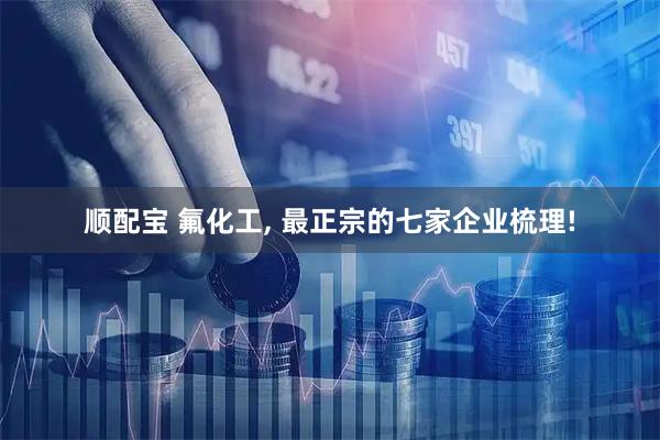 顺配宝 氟化工, 最正宗的七家企业梳理!