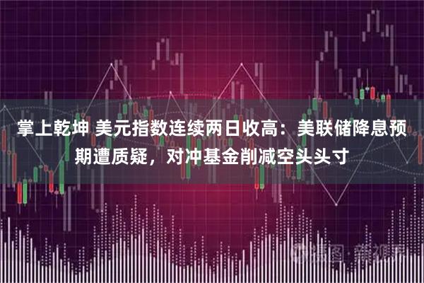 掌上乾坤 美元指数连续两日收高：美联储降息预期遭质疑，对冲基金削减空头头寸